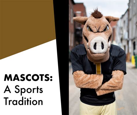 The Role of Pack of Mascots in Charity and Community Events